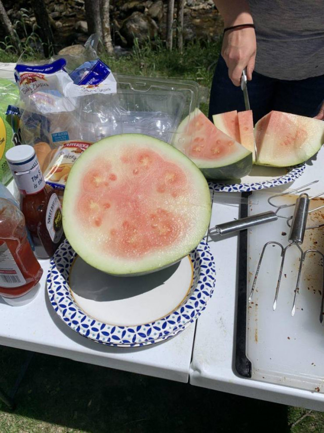 Неудачный день в картинках, которые вызовут у вас улыбку. ФОТО