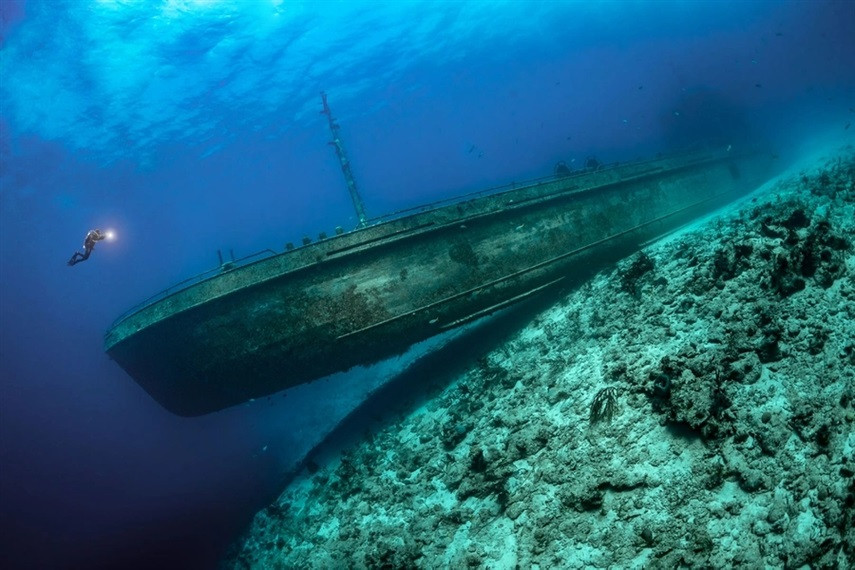 Победители конкурса подводной фотографии 2021 года