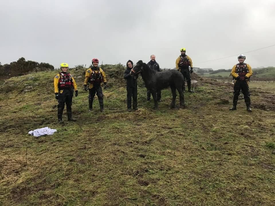 Спасатели помогли вытащить лошадь из болота