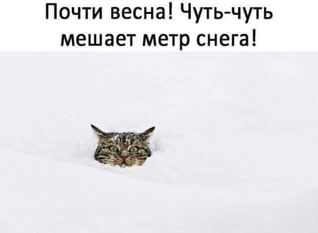 \"Почти весна, мешает метр снега\": погоду в Украине высмеяли меткими фотожабами