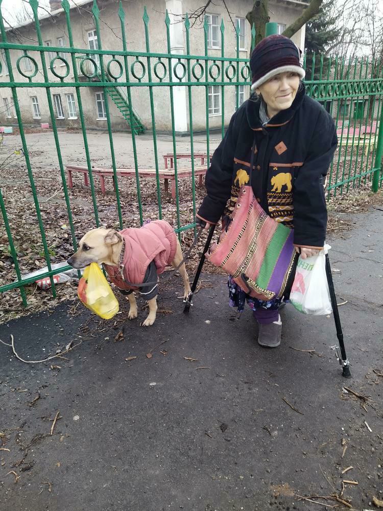 В Запорожье собака помогает бабушке носить пакеты с продуктами, а вечером — фонарик. ФОТО