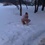 Оля Полякова искупалась в снегу в крохотном бикини. ФОТО