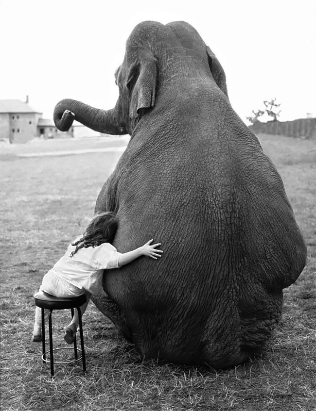 Маленькая девочка и её друг слон на старых снимках