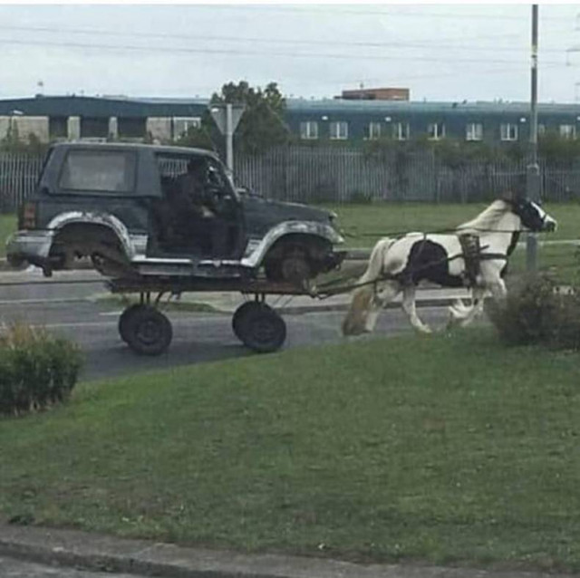 Свежие приколы в картинках и фото