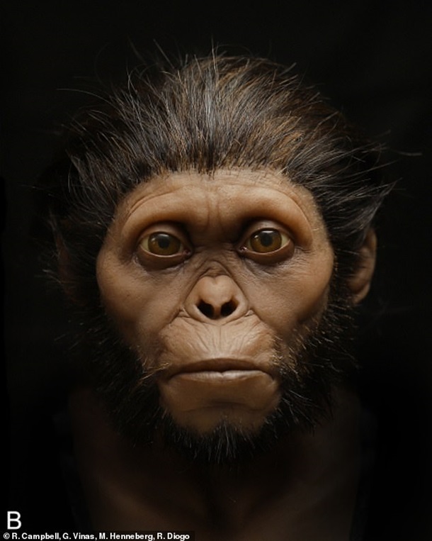 Ученые воссоздали облик древних предков человека. ФОТО