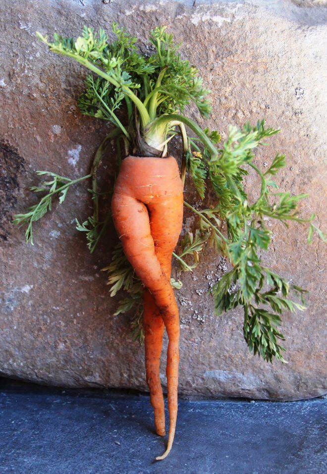 Подборка снимков самой соблазнительной моркови