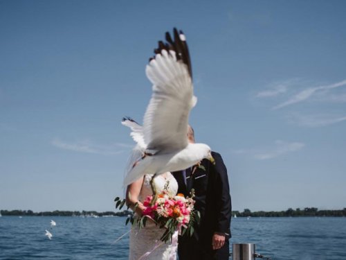 Смешные случайные свадебные фотобомбы
