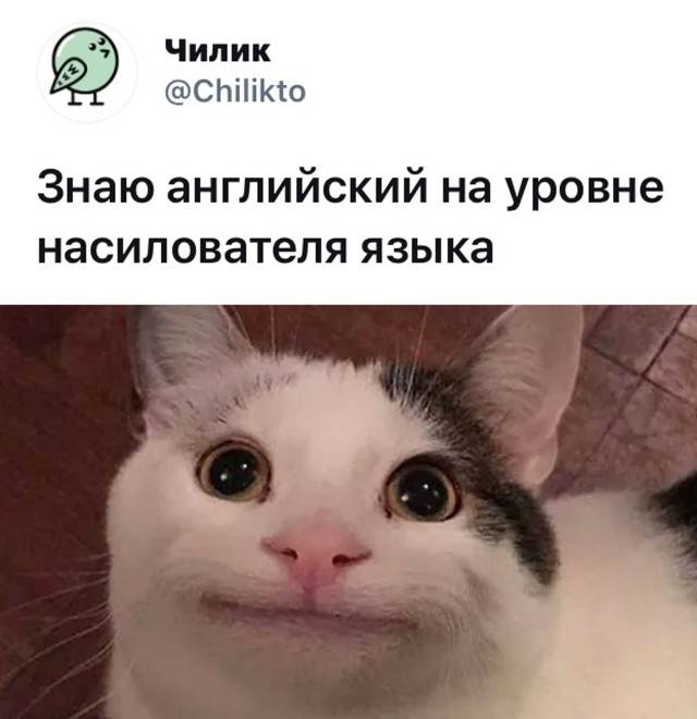 Улыбайтесь, господа, улыбайтесь! 