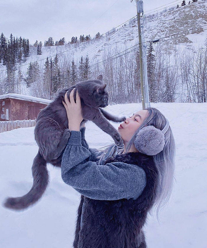 Котикам просто не нужны все эти обнимашки