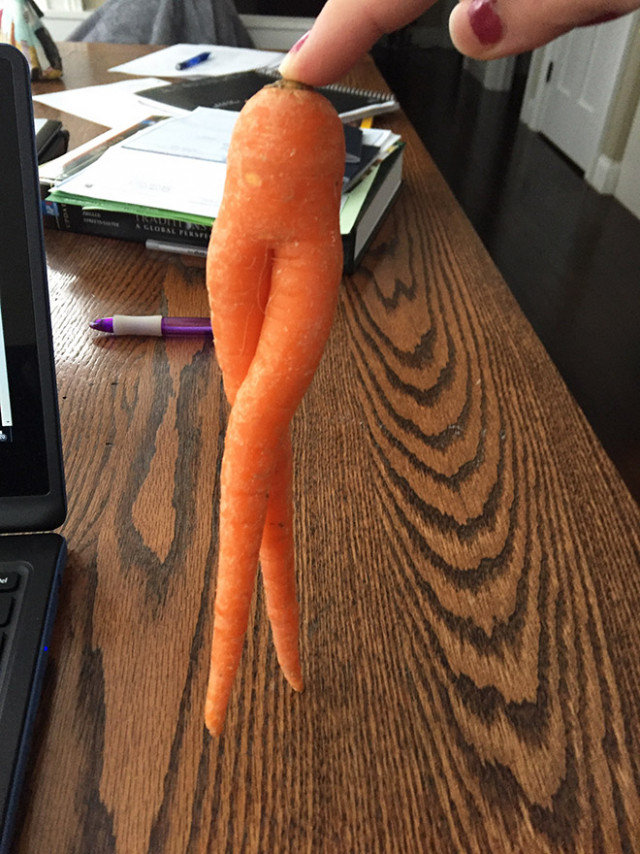 Самая большая в мире фотоколлекция соблазнительной морков. ФОТО