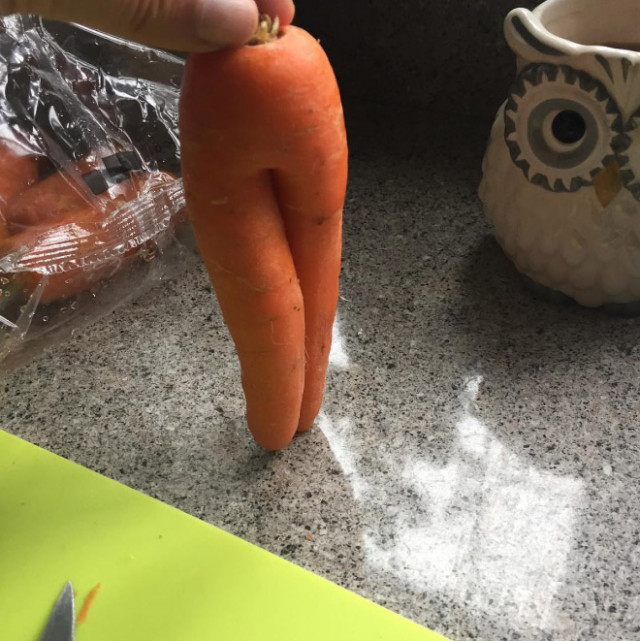 Самая большая в мире фотоколлекция соблазнительной морков. ФОТО