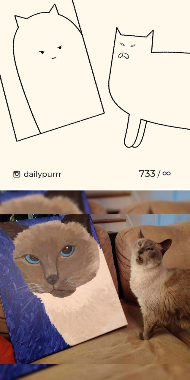 Самые минималистичные рисунки кошек. ФОТО