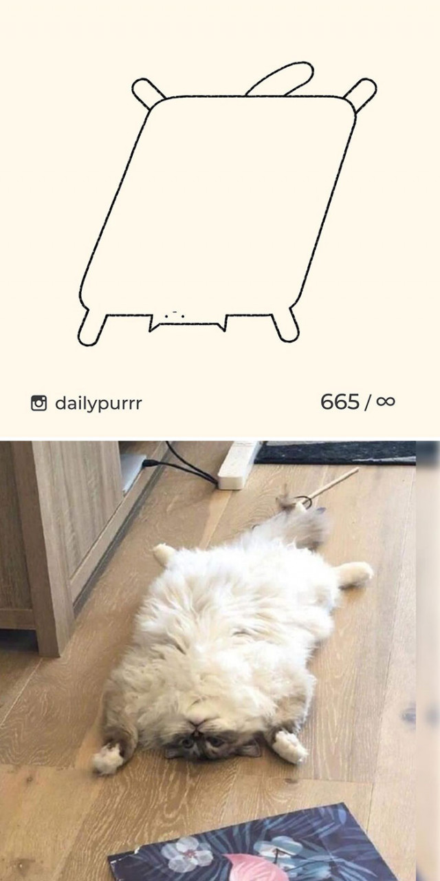 Самые минималистичные рисунки кошек. ФОТО