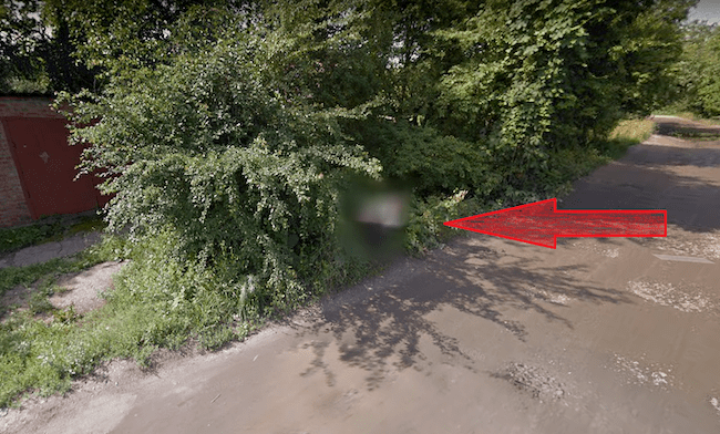 В Харькове Google Maps опубликовали мужчину, который справляет нужду в кустах. ВИДЕО