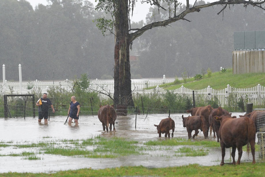 В Австралии из-за дождей началось сильнейшее наводнение за 50 лет. Фото
