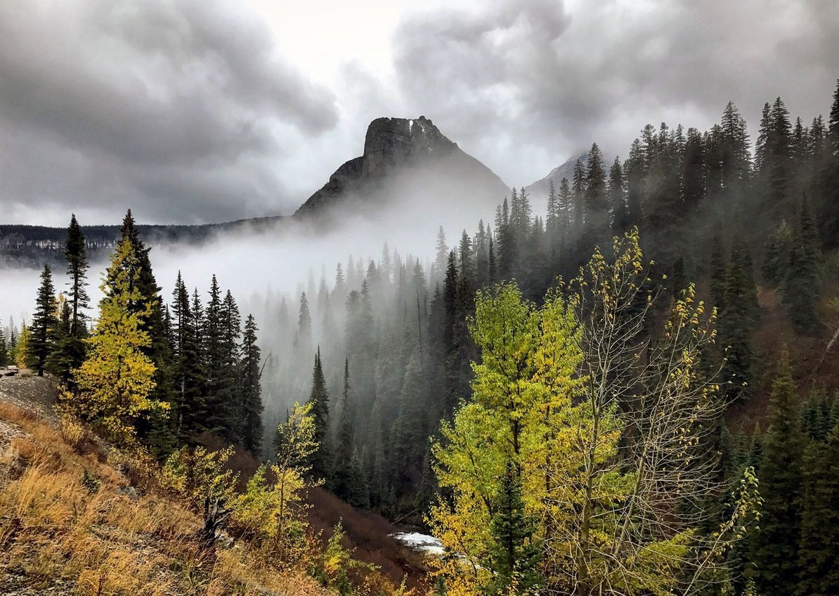 Красоты национальных парков США от Навида Барати