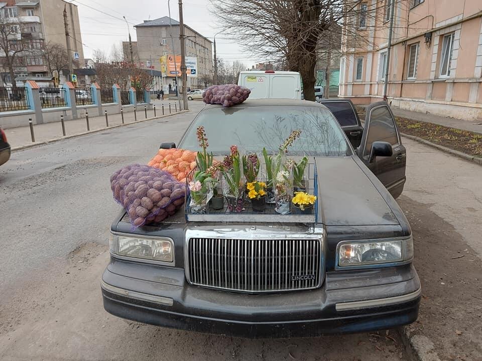 Курьез дня. В Черновцах картофель и лук продают с лимузина Lincoln. ФОТО