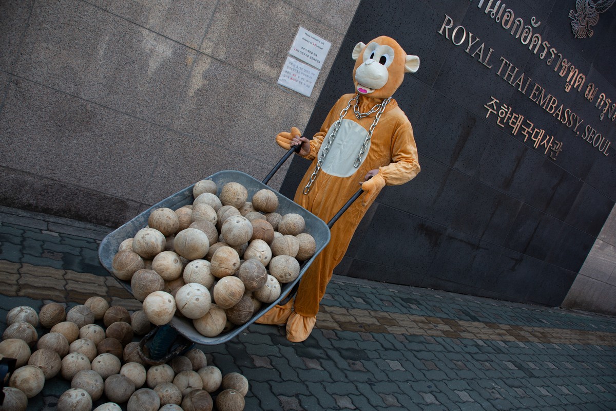 Повседневная жизнь в Южной Корее