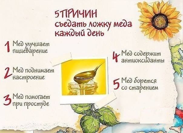 5 причин съедать ложку меда каждый день