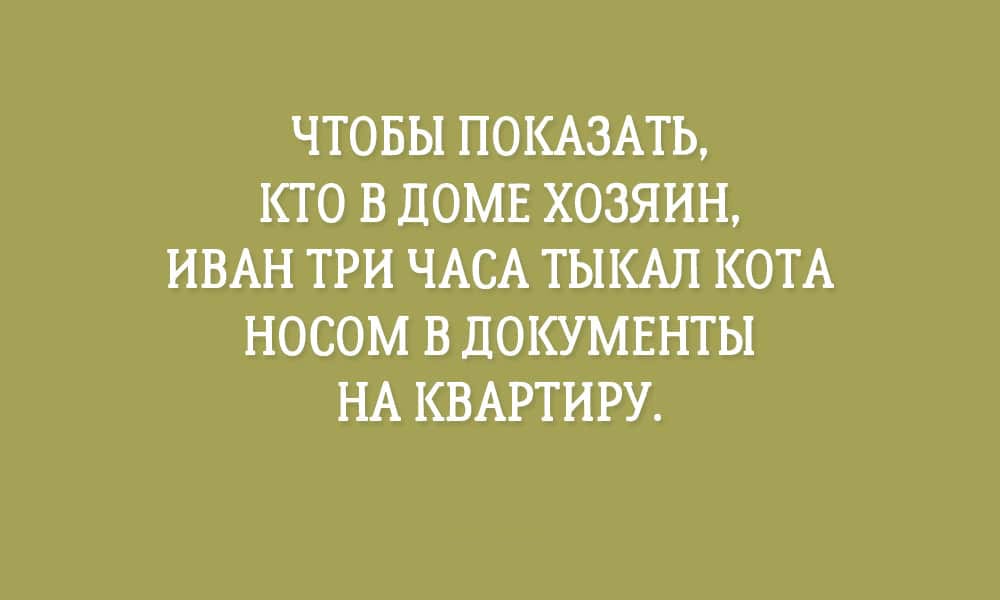 Шутки для отличного настроения