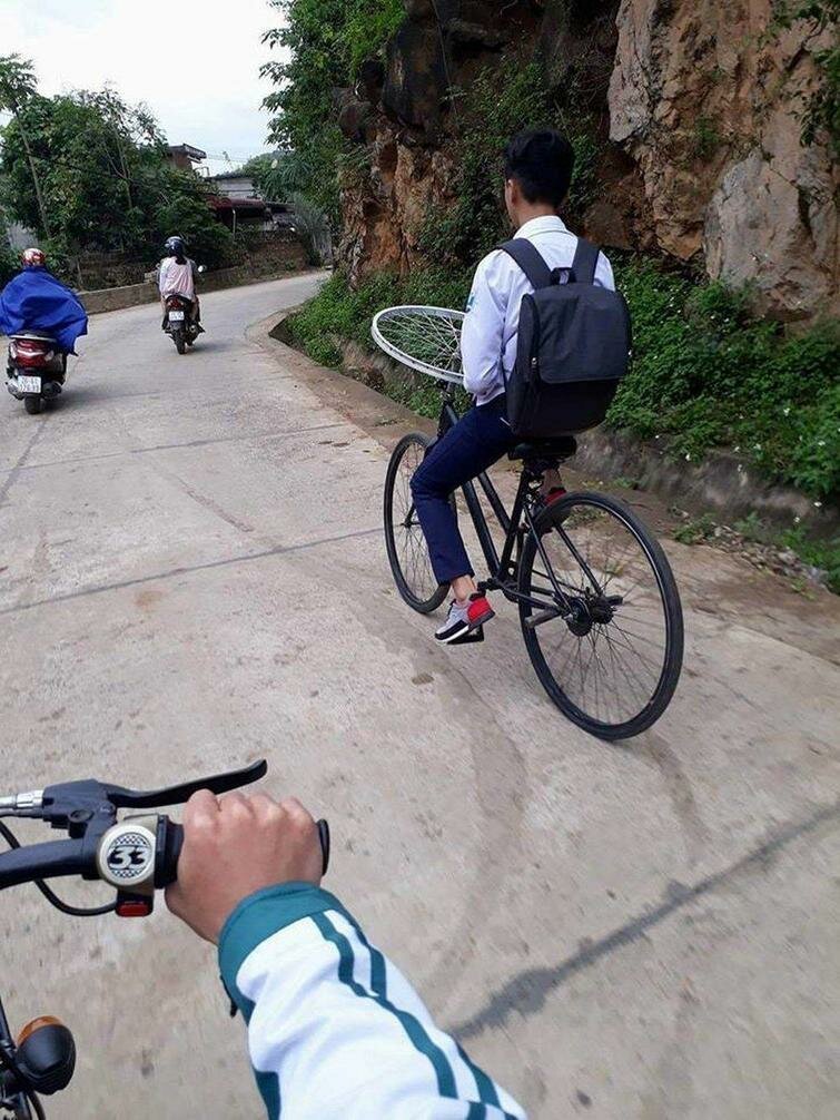 Веселые фотографии обо всем