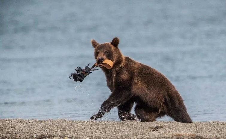 Веселые фотографии обо всем