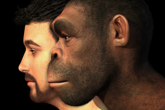 Антропологи опровергли происхождение современного человека от неандертальца