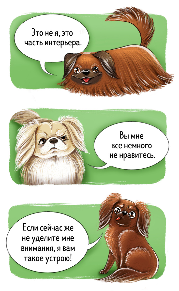 Забавные картинки про характер разных пород собак. ФОТО