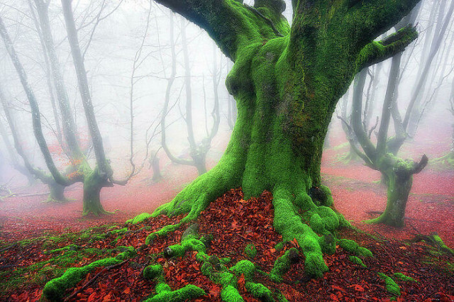 Реальные фотографии, похожих на кадры из фильмов или скриншоты из видеоигр (ФОТО)