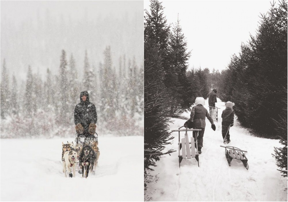 Фотографии, после которых вы полюбите снег. ФОТО