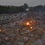 В Индии массово кремируют умерших от COVID. ВИДЕО