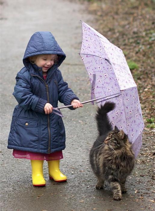 Коты умеют присматривать за детьми