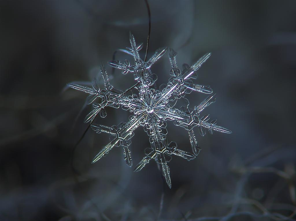 Удивительное рядом: как выглядят снежинки под микроскопом. ФОТО