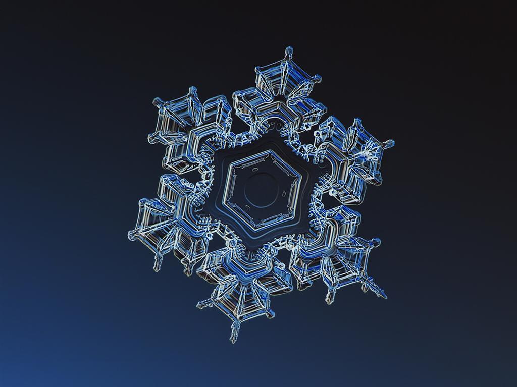 Удивительное рядом: как выглядят снежинки под микроскопом. ФОТО