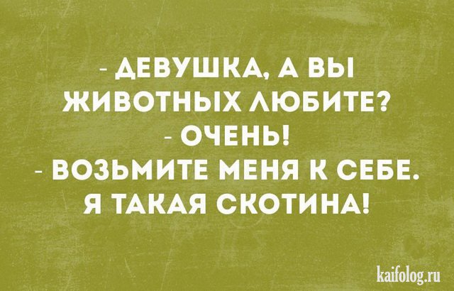 Подборка смешных карточек. ФОТО