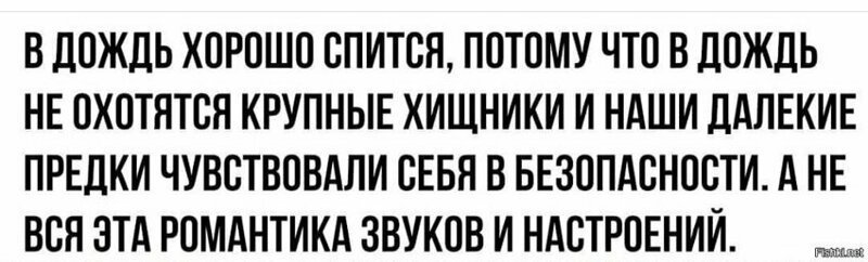 Подборка веселых карточек для хорошего настроения. ФОТО