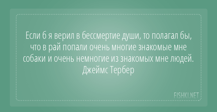 Подборка веселых карточек для хорошего настроения. ФОТО