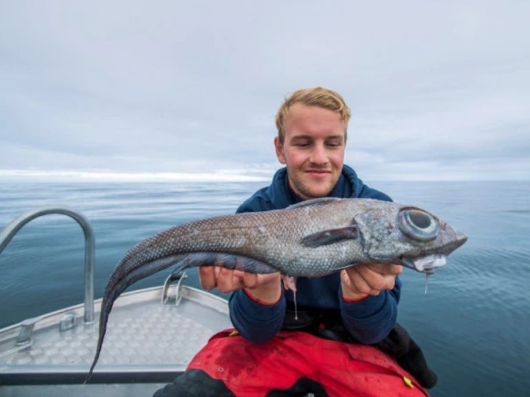 Рыбак удивился невероятному улову рыбы с огромными глазами. ФОТО