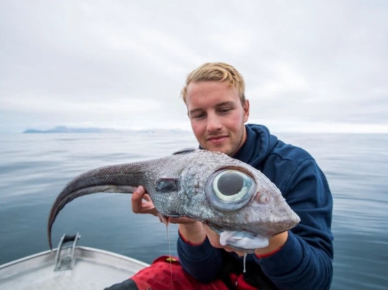 Рыбак удивился невероятному улову рыбы с огромными глазами. ФОТО