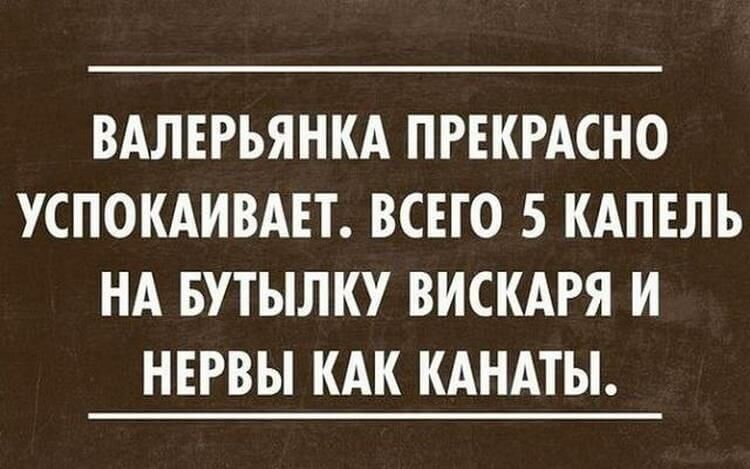 Карточки с забавными фразочками о повседневной жизни