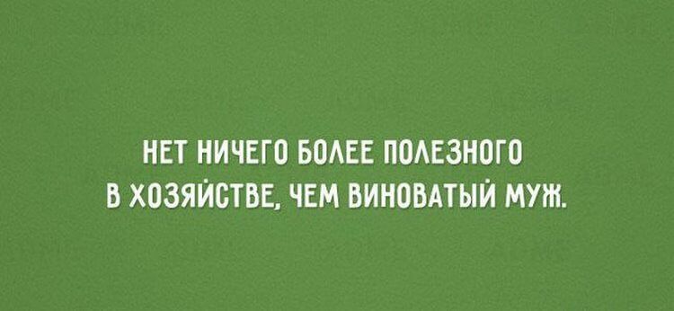 Карточки с забавными фразочками о повседневной жизни