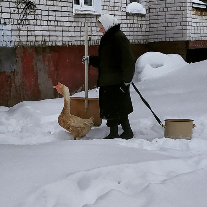 Смешные поступки, на которые способны только бабушки. ФОТО