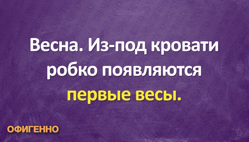 Весна из под кровати робко появляются первые весы