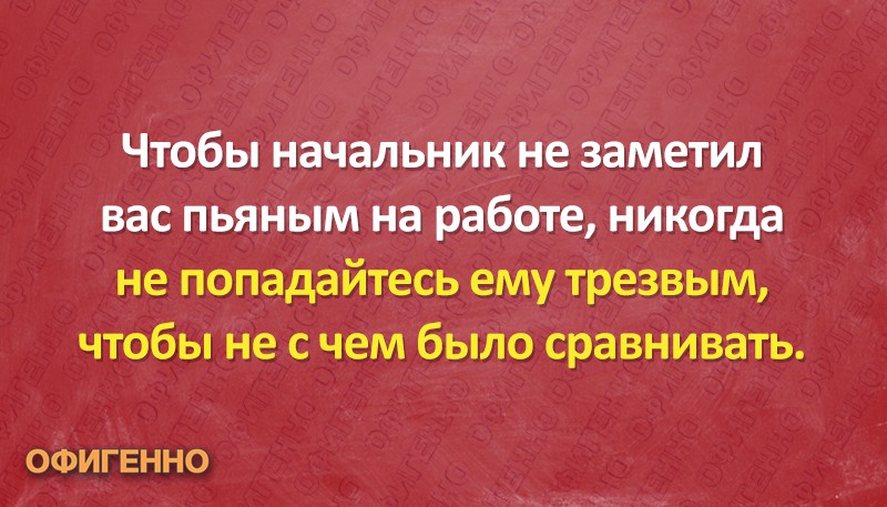 Подборка отличных шуток, которые помогут отвлечься от работы и посмеяться. ФОТО