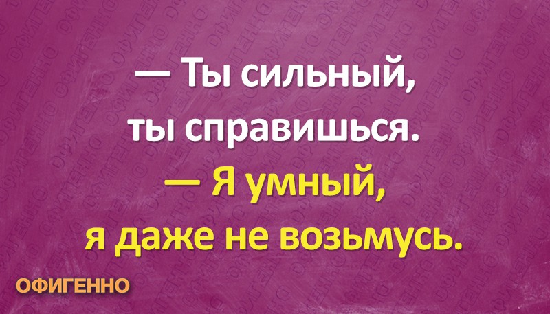 Подборка отличных шуток, которые помогут отвлечься от работы и посмеяться. ФОТО