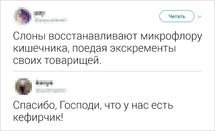 Меткие комментарии людей, которые не могут промолчать и делают это с юмором. ФОТО