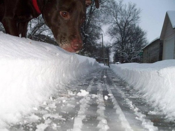 Немного фотографий из серии показалось