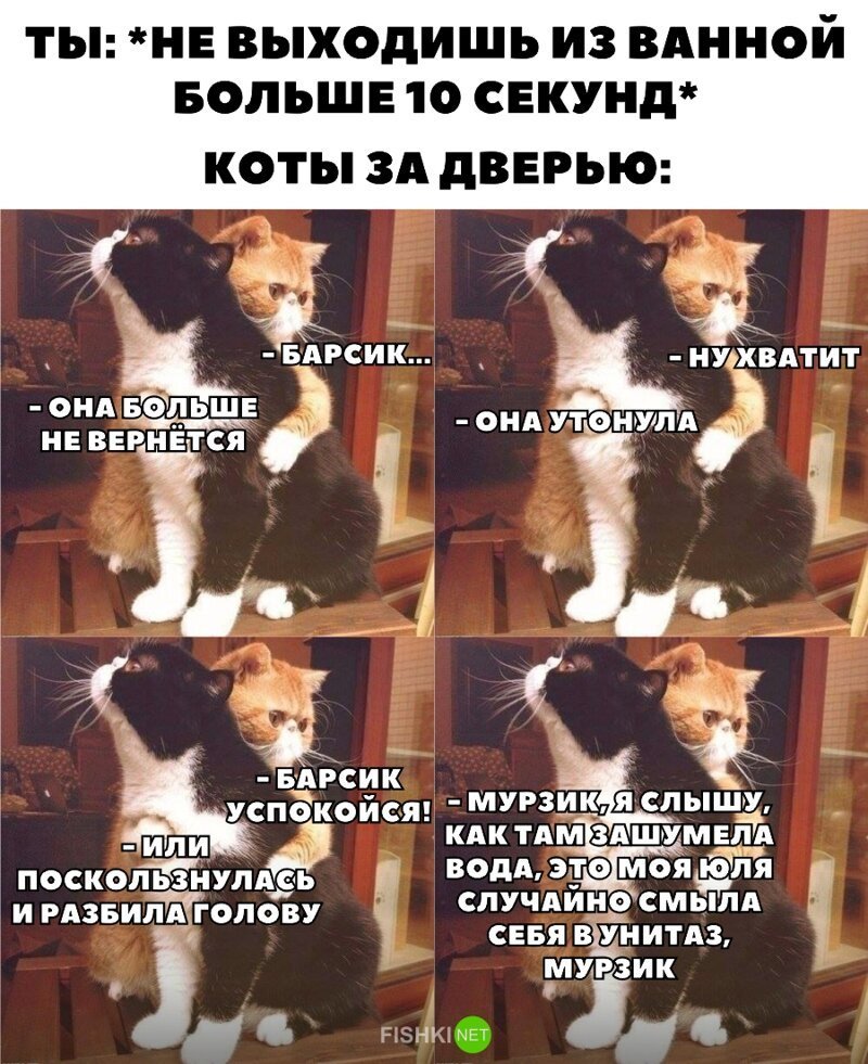 Ей нескем оставить кота