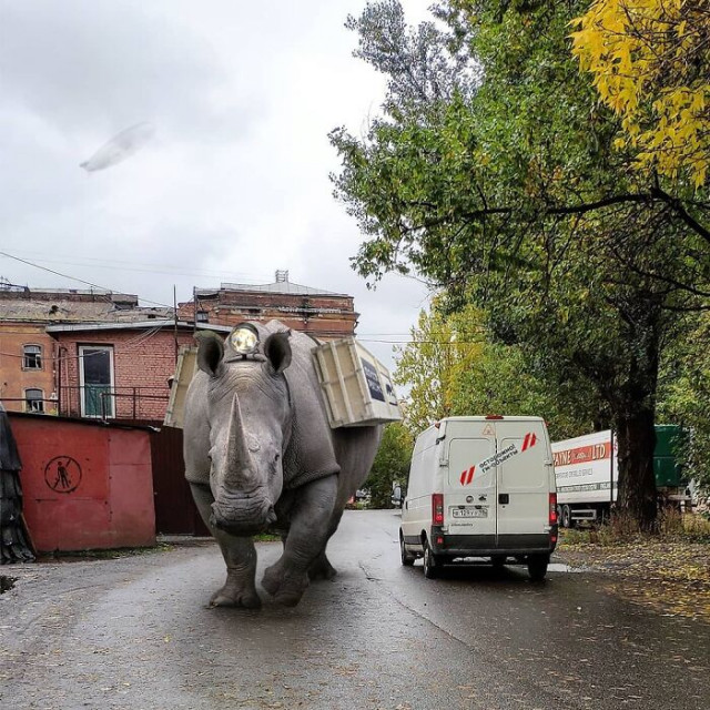 Гигантские животные на улицах в сюрреалистических манипуляциях Вадима Соловьёва. ФОТО