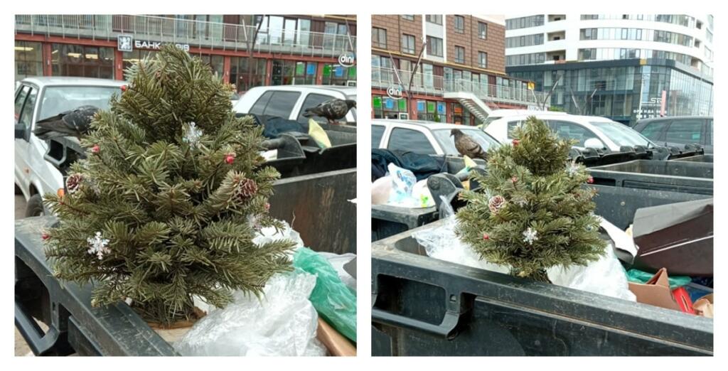 В первый день лета житель Ивано-Франковска вынес на помойку новогоднюю елку